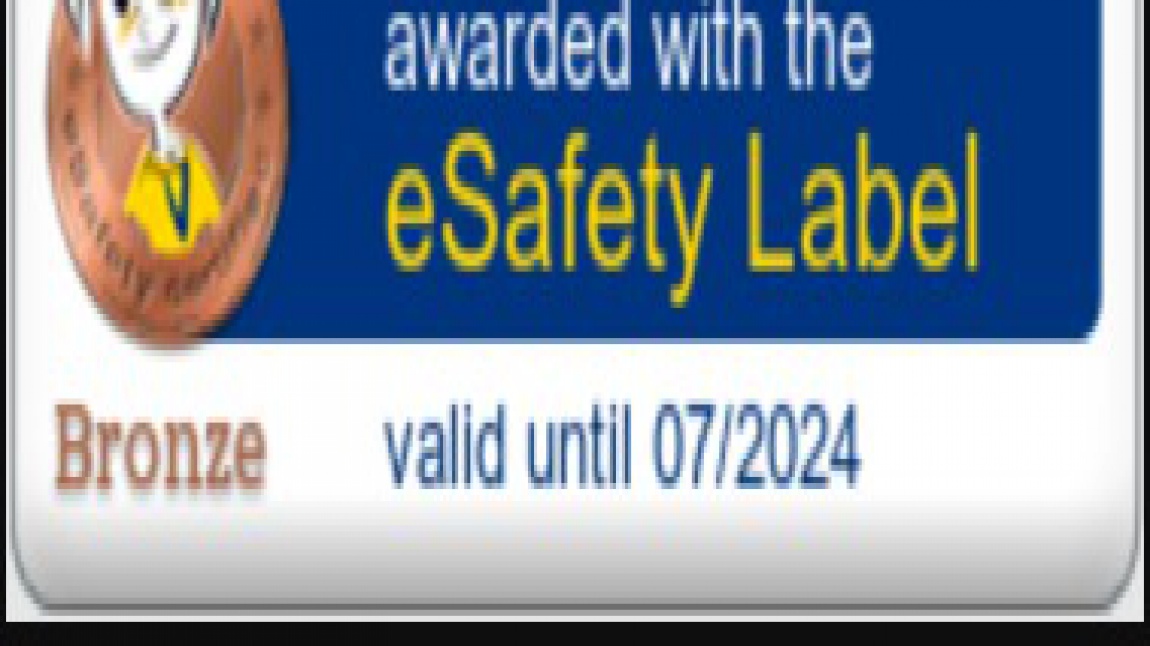 e safety label bronz etiketi 